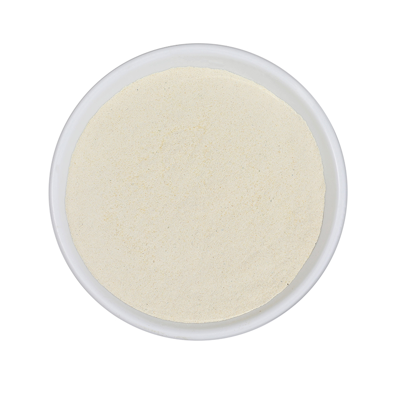 dried cauliflower powder.jpg