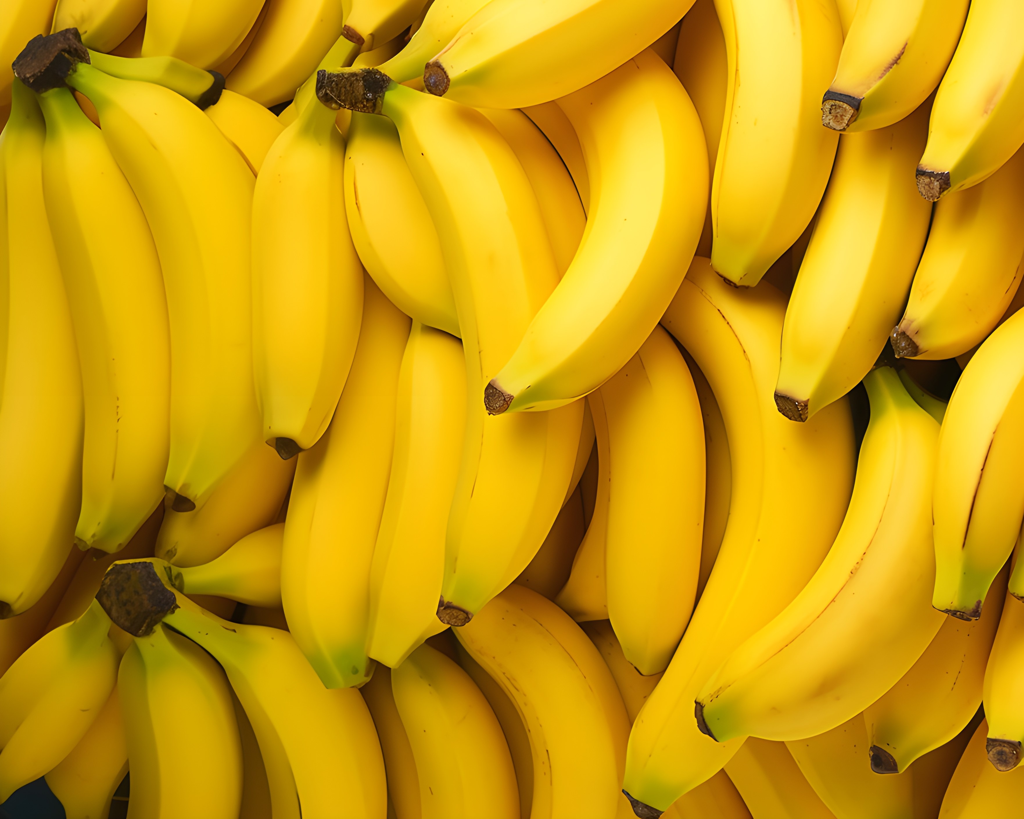 fresh banana raw material